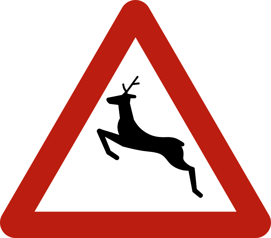 A27 : A27 - Traversée de gros gibier. Des cervidés, sangliers ou autres animaux sauvages peuvent traverser la route.…