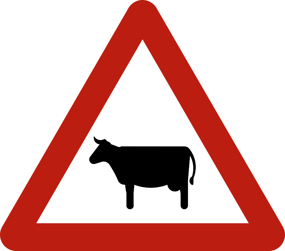 A29 : A29 - Traversée de bétail. Vaches, chevaux, moutons ou autres animaux d'élevage peuvent traverser la route, so…
